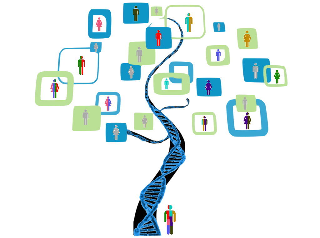 Illustration of genealogies and DNA, used on the previous site to introduce the population-genetics research presented at the defence